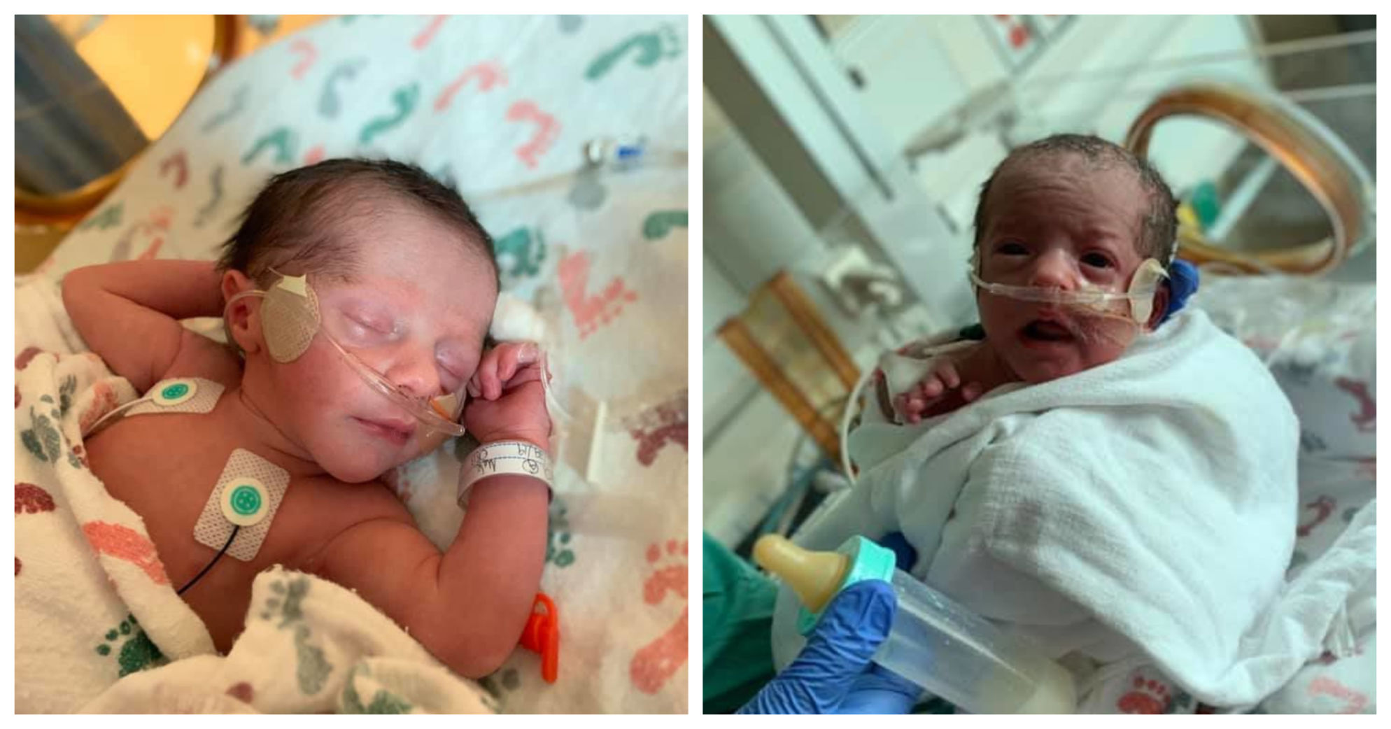 Twin babies